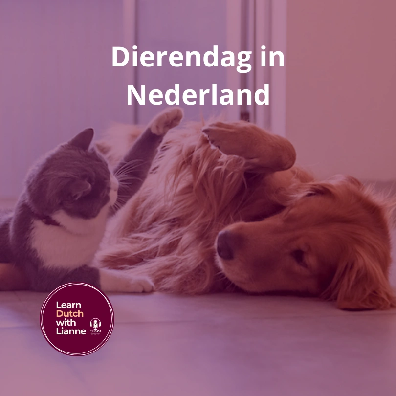 Afl. 17 - Dierendag in Nederlands